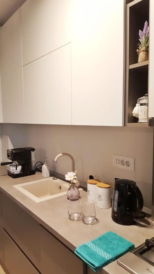 Elias Central Apartment - 2 Bedrooms & Free Parking Орадеа Екстериор снимка